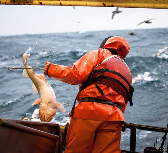 Fisherman on trawler with fish