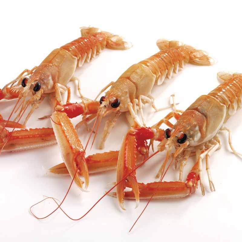 langoustine-large.jpg