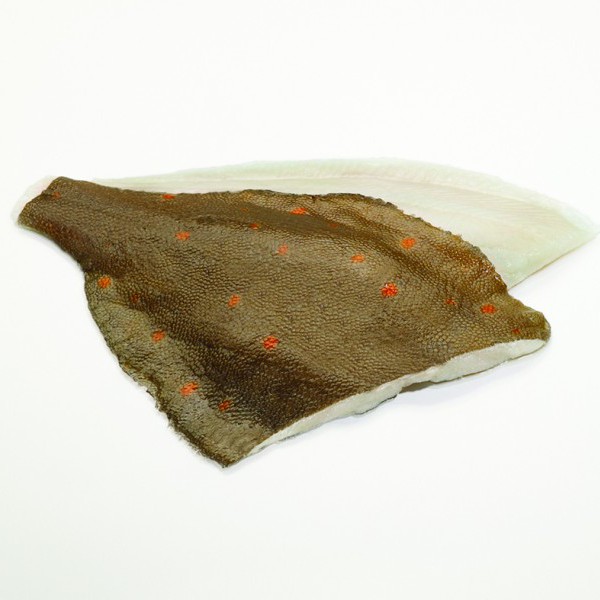 Van Der Lee IQF Plaice fillets