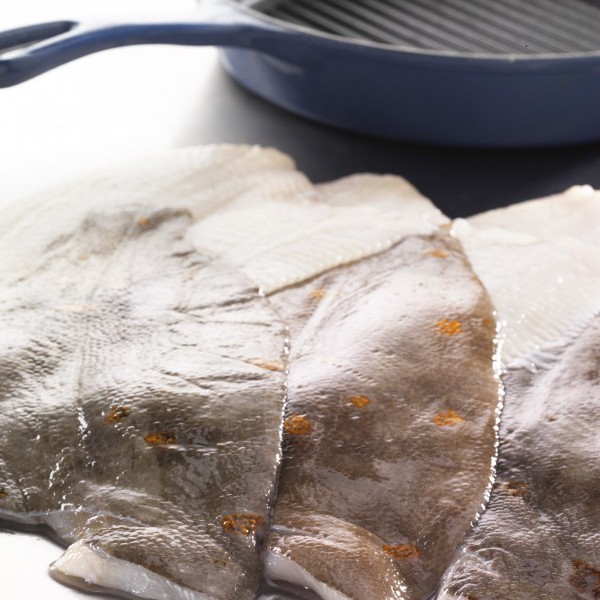 IQF Plaice fillets